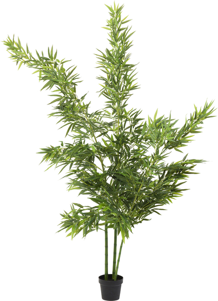 Deko Pflanze grün - 200 cm - KARE Bamboo Tree