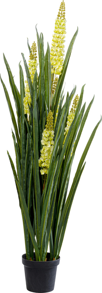Deko Pflanze grün - 150 cm - KARE Rhynchostylis