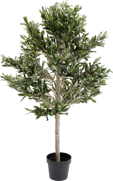 Deko Pflanze grün - 120 cm - KARE Olive Tree
